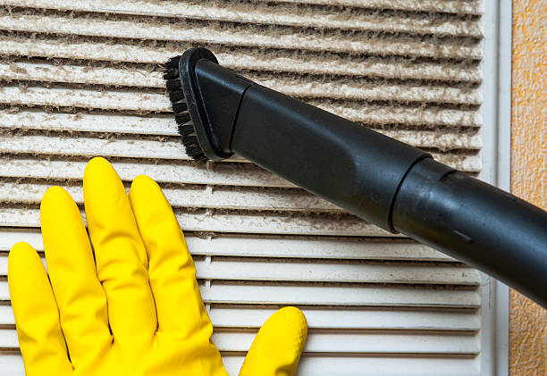 Best Ductwork Cleaning Services  in Eerlin, ND